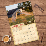 2027 Owls Wall Calendar – 16-Month Wildlife Photography