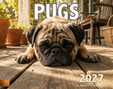2027 Pugs Wall Calendar – 16-Month Dog Photography