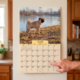 2027 Pugs Wall Calendar – 16-Month Dog Photography