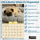 2027 Pugs Wall Calendar – 16-Month Dog Photography