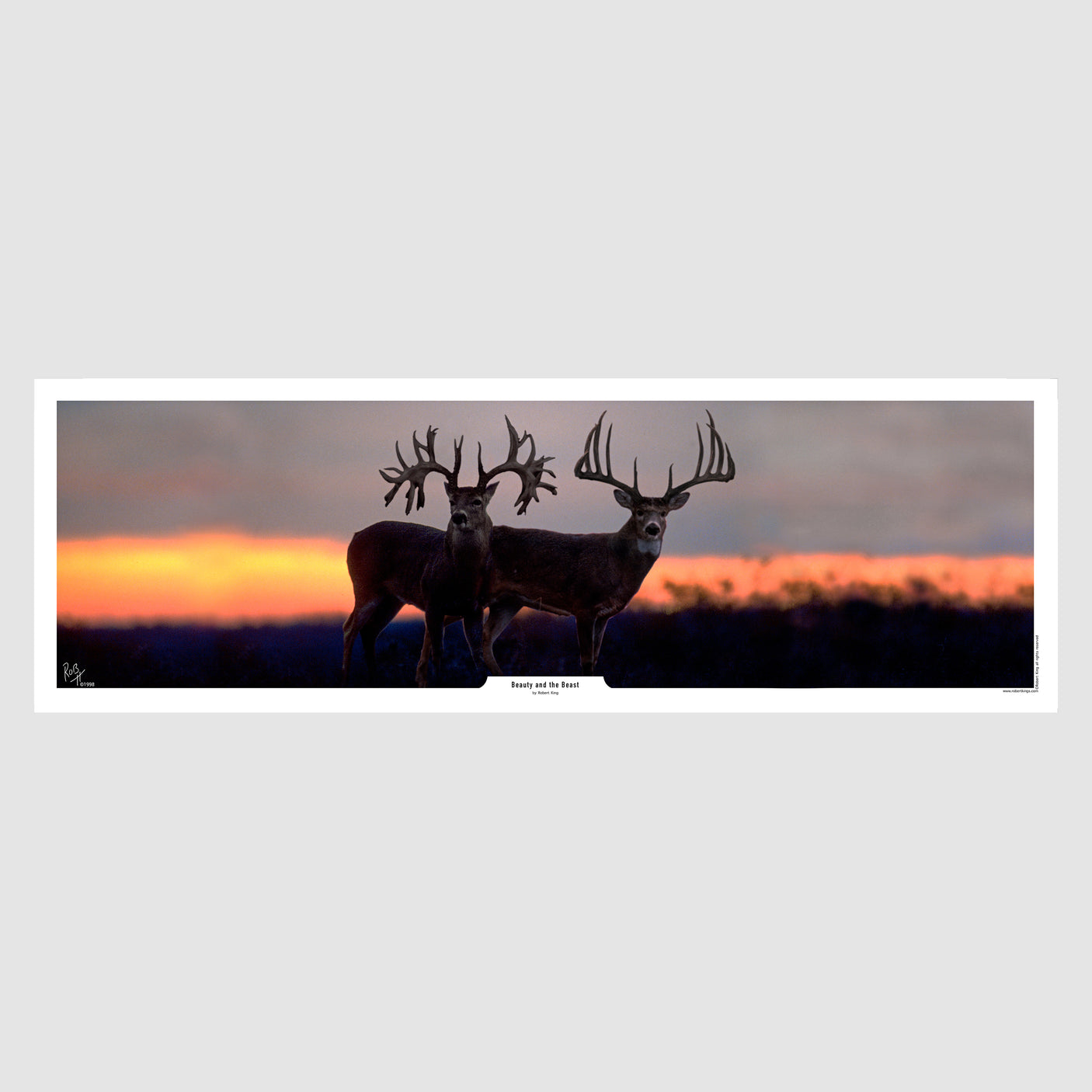 Beauty and the Beast Whitetail Deer Print