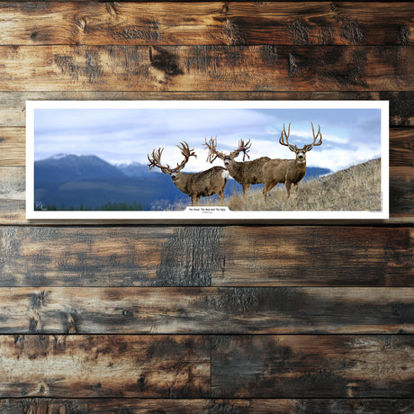The Good The Bad and The Ugly Mule Deer Print