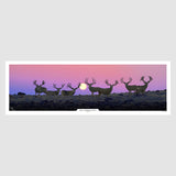 Return of The Magnificent Seven Print