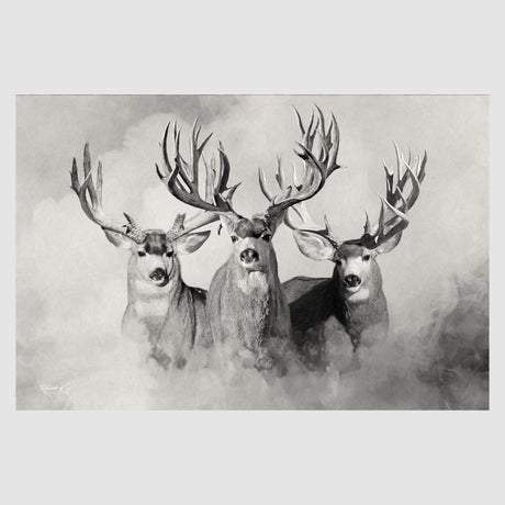 The Wild Bunch Mule Deer Print